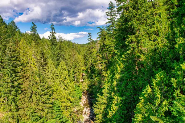 Vancouver Adası 'ndaki Kinsol Trestle Köprüsü' nün muhteşem manzarası - Kanada
