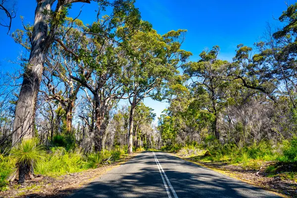 Driving Coast Western Australia Boranup — Stock Photo, Image