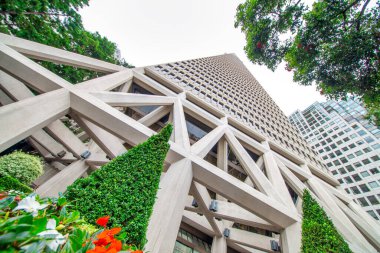 San Francisco, CA - 6 Ağustos 2017: Sisli bir günde Transamerica Piramit Binası.