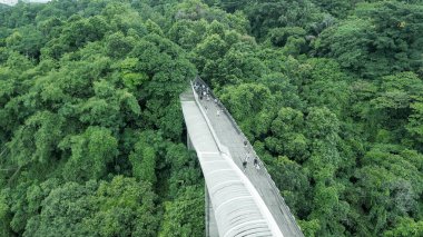 Henderson Köprüsü 'nün Singapur' daki havadan görüntüsü..