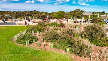 Aerial view of Torquay Beach along the Great Ocean Road, Australia.