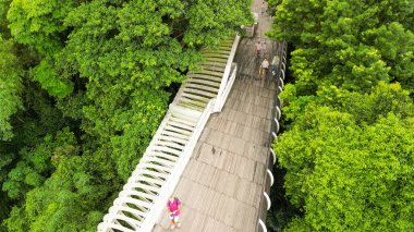 Henderson Köprüsü 'nün Singapur' daki havadan görüntüsü..