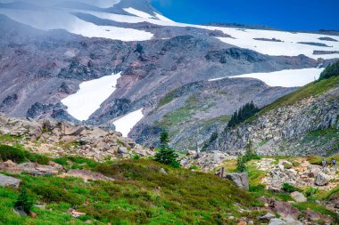 Yaz sezonunda Mount Rainier Ulusal Parkı 'nın muhteşem manzarası, Washington - ABD.