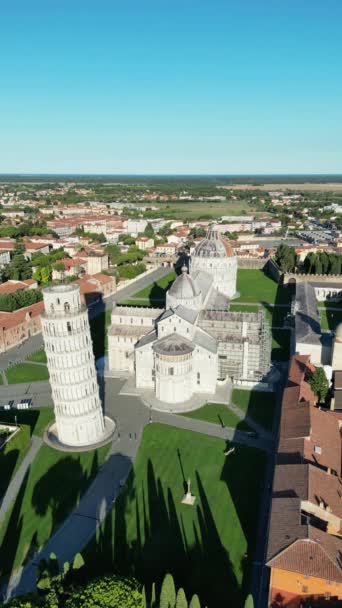 Field Miracles Dawn Drone Pisa Vertical Screen Orientation Video — Video