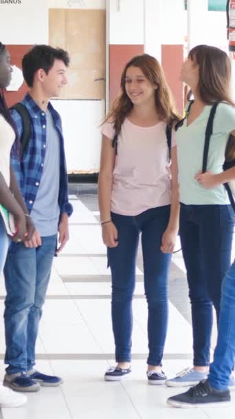 Grupo Adolescentes Multiétnicos Secundaria Caminando Pasillo Escuela Vídeo Vertical — Vídeos de Stock