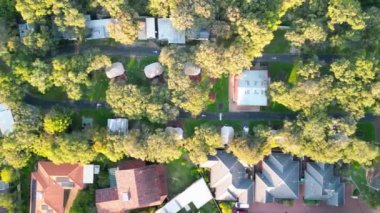 Kırsaldaki kampın havadan görünüşü.