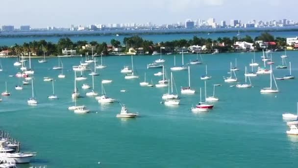 Boats Miami Port Aerial View — Stock Video