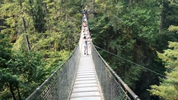 British Columbia Canada August 2017 Tourists Walk Capilano Bridge Sunny — Stock Video