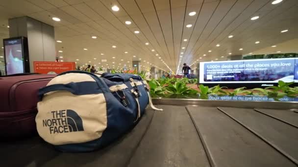 Singapore September 2023 Modern Interior Changi International Airport — Stock Video
