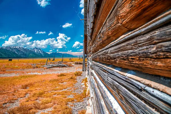 านไม สวยงามภายในอ ทยานแห งชาต Grand Teton — ภาพถ่ายสต็อก