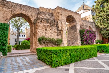 Sevilla 'daki hakiki Alcazar bahçeleri - İspanya