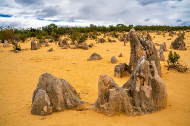 Nambung Ulusal Parkı 'ndaki Pinnacles Çölü' nün Ay manzarası, Batı Avustralya, Avustralya.