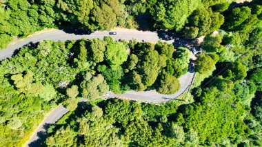 Downward aerial view of a beautful windy road across a forest.
