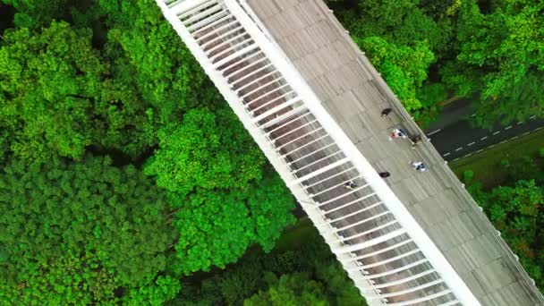Вид Повітря Міст Хендерсон Хвиль Сінгапурі — стокове відео