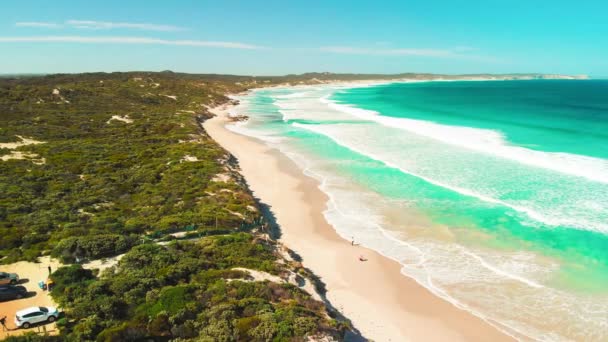 澳大利亚袋鼠岛 彭宁顿湾的海浪和海岸线 无人驾驶飞机提供的航景 — 图库视频影像