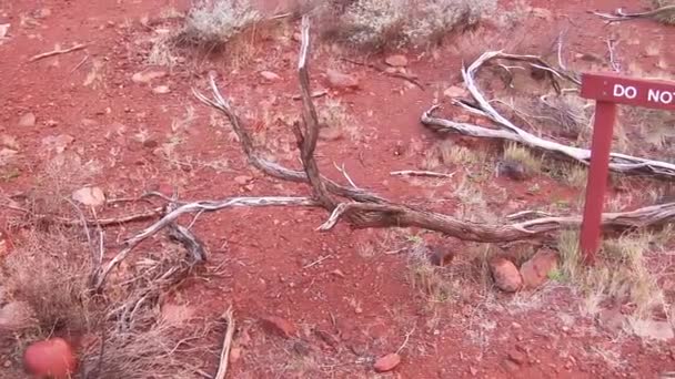 Australische Outback Kleuren Bij Zonsondergang Northern Territory — Stockvideo