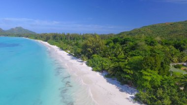 Praslin Sahili, Seyşeller. Güneşli bir günde tropikal kıyı şeridinin havadan görünüşü.