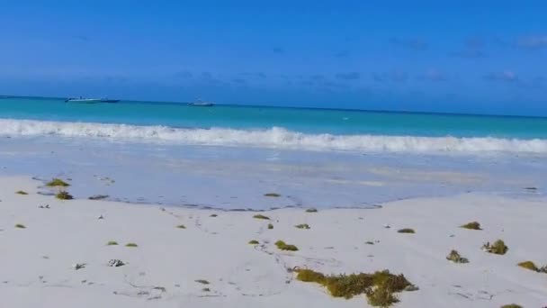 Praslin Beach Seychelles Aerial View Tropical Coastline Sunny Day — Stock Video