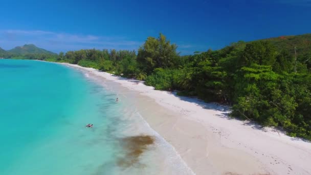 Praslin Beach Seychellen Luchtfoto Van Tropische Kustlijn Een Zonnige Dag Stockvideo's