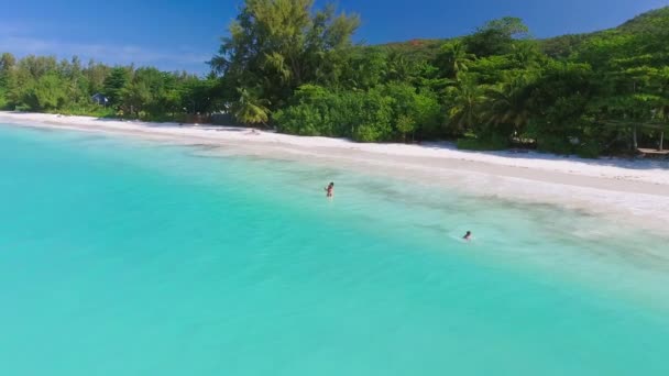 Praslin Beach Seychelles Vue Aérienne Littoral Tropical Par Une Journée — Video
