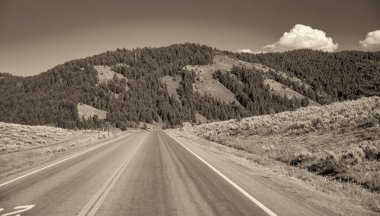Yaz mevsiminde Grand Teton Ulusal Parkı 'na giden yol.