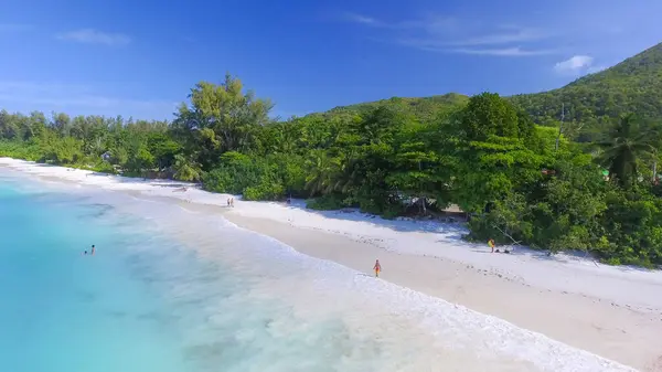 Praslin Stranden Seychellene Flyfoto Tropisk Kystlinje Solrik Dag stockbilde