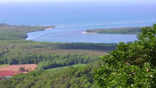 Letecký Pohled Národní Park Daintree Slunečného Zimního Dne Queensland Stock Video