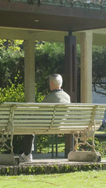 老人坐在公园的长椅上 垂直录像 视频剪辑
