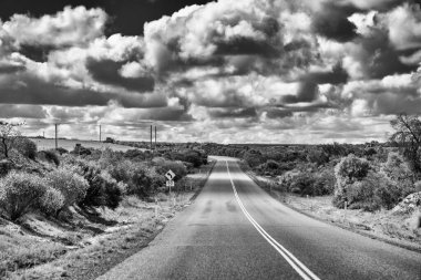 Batı Avustralya yollarında araba sürerken.