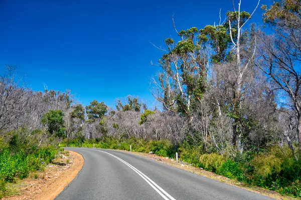 Driving Coast Western Australia Boranup — Stock Photo, Image