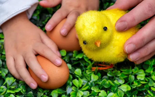 Çimlerin Üzerinde Yumurta Bebek Elleriyle Sahte Bir Piliç — Stok fotoğraf