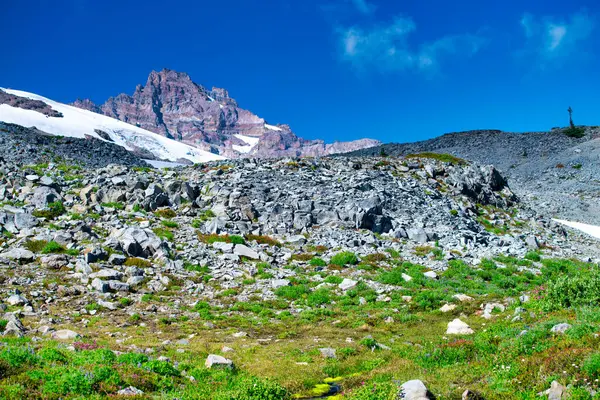 งของอ ทยานแห งชาต Mount Rainier ในฤด วอช สหร ฐอเมร ภาพสต็อก