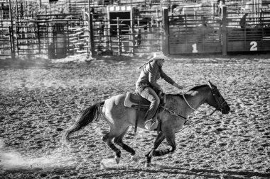 Bryce Canyon, UT - 21 Haziran 2018: Gün batımında bir rodeodan sahne.