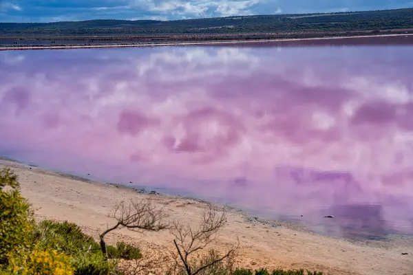 Farger Refleksjoner Pink Lake Port Gregory Vest Australia stockfoto