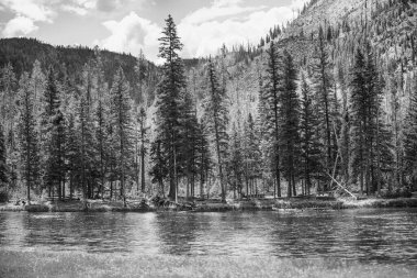 Yellowstone Nehri, yellowstone Milli Parkı.