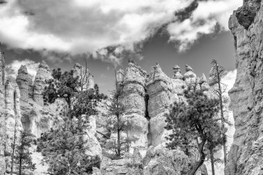 Yaz mevsiminde Bryce Canyon Ulusal Parkı 'nın inanılmaz manzarası, Utah.