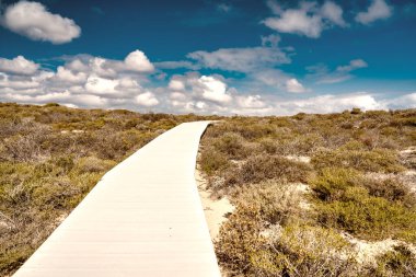 Kalbarri Ulusal Parkı 'nda okyanusa doğru giden patika..