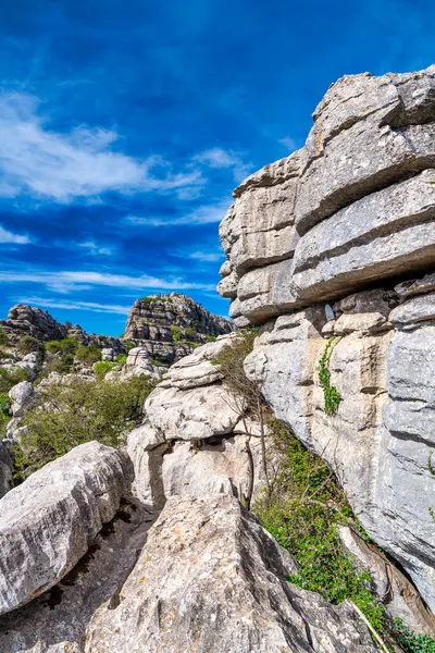 Endülüs 'teki Torcal de Antequera' nın Karst manzarası. Dikey kireçtaşı kaya duvarlarıyla çevrili Akdeniz bitkileriyle büyük bir vadi.