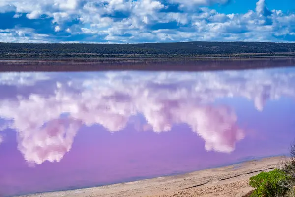 Värit Heijastukset Pink Lake Port Gregory Länsi Australia tekijänoikeusvapaita kuvapankkikuvia