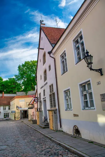 Tallinn Estland Juli 2017 Middelalderens Gater Bygninger Tallinn Solrik Sommerdag royaltyfrie gratis stockbilder