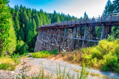 Vancouver Adası 'ndaki Kinsol Trestle Köprüsü' nün muhteşem manzarası - Kanada