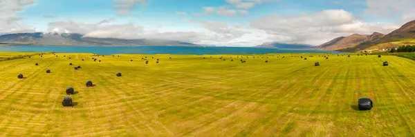 มมองทางอากาศของบ านด งเด มในชนบทและสนามฟาร านเล Svalbardseyri ใกล Azreyri ไอซ แลนด รูปภาพสต็อก