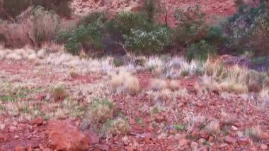 Avustralya taşra renkleri gün batımında, Kuzey Bölgesi.