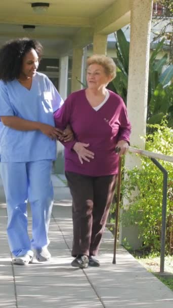 Αφροαμερικανός Γιατρός Που Περπατάει Ηλικιωμένη Γυναίκα Στον Κήπο Του Νοσοκομείου — Αρχείο Βίντεο