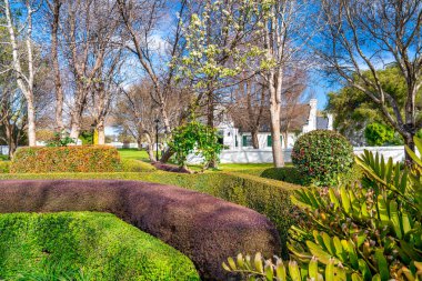 Batı Avustralya 'da bir şarap parkı..