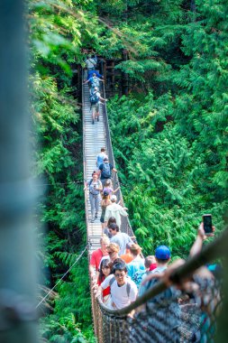 Vancouver - 11 Ağustos 2017: Güneşli bir günde turistlerle Lynn Canyon 'da Twin Falls Askı Köprüsü.