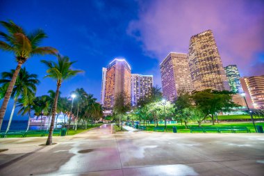 Downtown Miami buildings and skyscrapers at sunset from Bayfront Park.