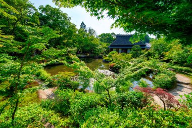 Nara, Japonya. Isuien Bahçesi ve güneşli bir bahar gününde ağaçlar.