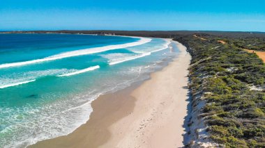 Kangaroo Island, Australia. Pennington Bay waves and coastline, aerial view from drone.