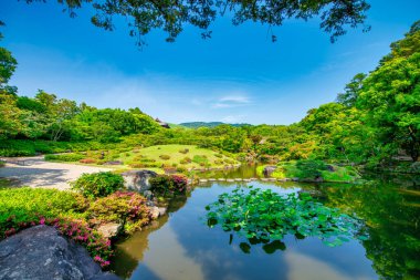 Nara, Japonya. Isuien Bahçesi ve güneşli bir bahar gününde ağaçlar.